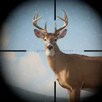Trophy Hunter