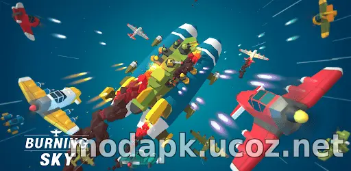 Burning Sky: Aircraft Combat