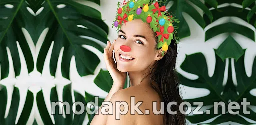 FaceArt: Filters for Pictures