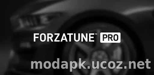 ForzaTune Pro