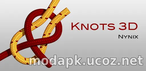 Knots 3D